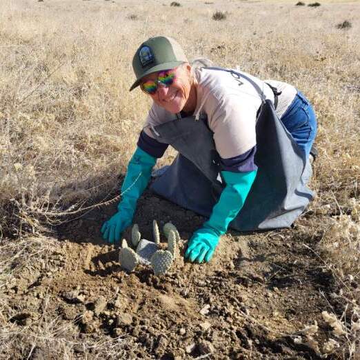 Volunteer Day: Backcountry Bakersfield Cactus Planting - logo